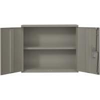 Wall Mounted Cabinet, Steel, 2 Shelves, 30" H x 36" W x 12" D, Grey Brunswick Fyr & Safety