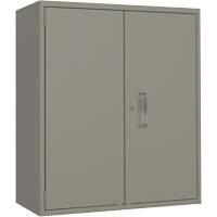 Lo-Boy Storage Cabinet, Steel, 2 Shelves, 40" H x 36" W x 18" D, Grey Brunswick Fyr & Safety