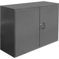 Armoire pour accessoires abrasifs, Acier, 2 tiroirs, 33-3/4" x 11-7/8" x 23-7/8", Gris Brunswick Fyr & Safety