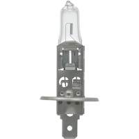 64155 Ampoule automobile de base, Halog&egrave;ne, 78 W, Blanc cass&eacute; Brunswick Fyr & Safety