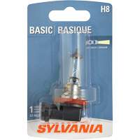 H8 Basic Headlight Bulb FLT984 | Brunswick Fyr & Safety