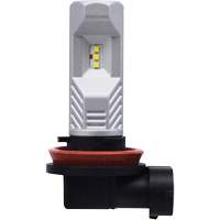 H8 Headlight Bulb FLT991 | Brunswick Fyr & Safety