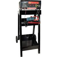 Automatic Battery & Electrical System Tester with Cart Brunswick Fyr & Safety