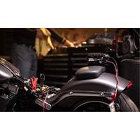 Genius&reg; 10 10-Amp Battery Charger Brunswick Fyr & Safety