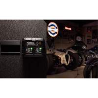 Genius&reg; 2X2 2-Bank, 4-Amp Battery Charger Brunswick Fyr & Safety