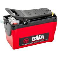 Pompe &agrave; air &agrave; une vitesse avec r&eacute;servoir de 122,1 po³ Brunswick Fyr & Safety