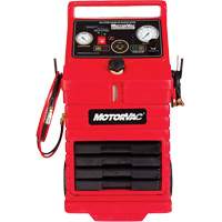 CarbonClean 245 Gasoline Engine System Brunswick Fyr & Safety