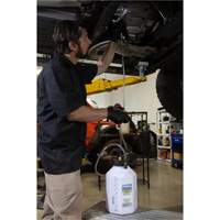 Syst&egrave;me de purge &agrave; pression Brunswick Fyr & Safety