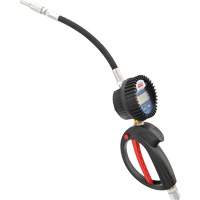 D&eacute;bitm&egrave;tre &eacute;lectronique de lubrifiant avec rallonge flexible &agrave; 90° Brunswick Fyr & Safety