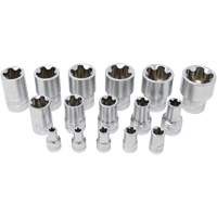 5-Point EPR Torx Socket Set, 16 Pieces, 1/4"/3/8"/1/2" Drive Size Brunswick Fyr & Safety