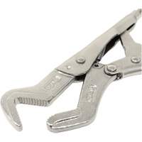 Small Parrot Pliers Brunswick Fyr & Safety