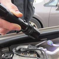 Rechargeable UV Flashlight Brunswick Fyr & Safety