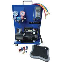 Dual R134A/R1234Yf Single-Stage Portable Electronic Charging Station Brunswick Fyr & Safety
