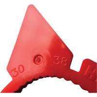 Indicateur d'&eacute;crous de tailles multiples desserr&eacute;s HexChex Brunswick Fyr & Safety