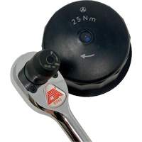 Torque Limiting Ratchet Wrench, 3/8" Drive, Cushion Grip Handle Brunswick Fyr & Safety