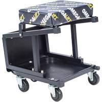 2-in-1 Seat-Stool Combo Brunswick Fyr & Safety