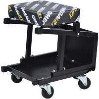 2-in-1 Seat-Stool Combo Brunswick Fyr & Safety