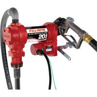 Pompe de transfert de carburant 12 V CC avec pistolet Brunswick Fyr & Safety