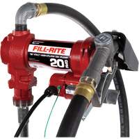Pompe de transfert de carburant 12 V CC avec pistolet Brunswick Fyr & Safety