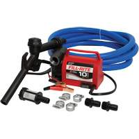 Pompe de transfert de carburant 12 V CC avec pistolet Brunswick Fyr & Safety