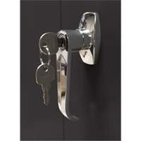 Armoire d'entreposage, Acier, 4 Tablettes, 66" h x 30" la x 15" P, Noir Brunswick Fyr & Safety