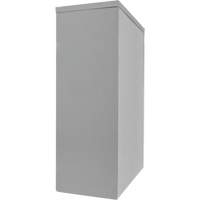 Armoire de rangement &agrave; hauteur de comptoir, Acier, 2 Tablettes, 42" h x 30" la x 15" P, Gris Brunswick Fyr & Safety