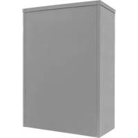 Armoire de rangement &agrave; hauteur de comptoir, Acier, 2 Tablettes, 42" h x 30" la x 15" P, Gris Brunswick Fyr & Safety