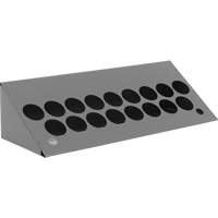 Aerosol Bin Topper Brunswick Fyr & Safety