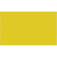 Cales minces chromocod&eacute;es en plastique Brunswick Fyr & Safety