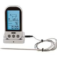 Wireless Meat & Poultry Thermometer, Contact, Digital, 32-482°F (0-250°C) IC669 | Brunswick Fyr & Safety