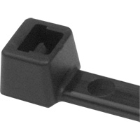 PA66 Cable Ties, 5-1/2" Long, 18 lbs. Tensile Strength, Black Brunswick Fyr & Safety
