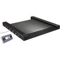 Defender 2500 Drum Scale, 500 lbs. Capacity, 2.5' L x 2.5' W Brunswick Fyr & Safety