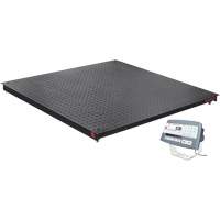 Balance de plancher DEFENDER 5000, Capacit&eacute; de 2500 lb, 48" la x 48" lo Brunswick Fyr & Safety