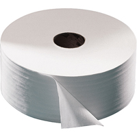 Advanced Toilet Paper, Jumbo Roll, 2 Ply, 1600' Length, White JA878 | Brunswick Fyr & Safety