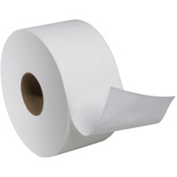 Advanced Soft Mini Toilet Paper, Jumbo Roll, 2 Ply, 751' Length, White JB565 | Brunswick Fyr & Safety