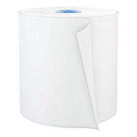 Pro Perform Roll Hand Towels, 1 Ply, Standard, 775' L Brunswick Fyr & Safety