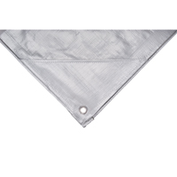 Tarp, Super Heavy-Duty, Silver, 10' x 8' x 12 mils Brunswick Fyr & Safety