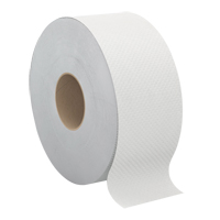 Pro Select Toilet Paper, Jumbo Roll, 2 Ply, 500' Length, White Brunswick Fyr & Safety