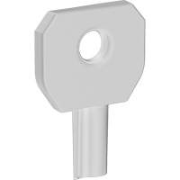 Lock or Not™ Dispenser Key JK699 | Brunswick Fyr & Safety