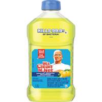 Antibacterial All-Purpose Cleaner, Bottle JL064 | Brunswick Fyr & Safety