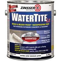 Watertite<sup>®</sup> LX Mold & Mildew-Proof™ Waterproofing Paint, 3.78 L, Gallon, White JL336 | Brunswick Fyr & Safety