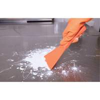 Racloir manuel grand format, Rose, 4" la x 10" lo Brunswick Fyr & Safety