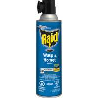 Raid&reg; Wasp & Hornet Bug Killer, 400 g, Solvent Base Brunswick Fyr & Safety
