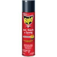 Raid&reg; Ant, Roach & Earwig Insect Killer, 350 g, Solvent Base Brunswick Fyr & Safety