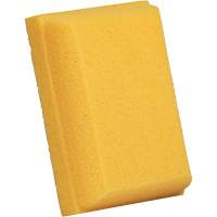 Grouting Sponges, Grouting, 5" W x 7" L JN018 | Brunswick Fyr & Safety