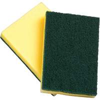 Sponges with Scouring Pad, Scrubbing, 4" W x 6" L JN021 | Brunswick Fyr & Safety