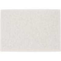 TopLine Speed Floor Pad, 14" x 20", Buffing/Cleaning/Polish, White Brunswick Fyr & Safety