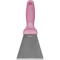 Grand racloir en acier inoxydable, Rose, 3" la x 9" lo Brunswick Fyr & Safety