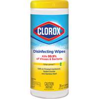 Disinfecting Wipes, 35 Count JO323 | Brunswick Fyr & Safety