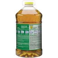 Nettoyant pour vitres et surfaces multiples Pine Sol, 4,25 L, Cruche Brunswick Fyr & Safety